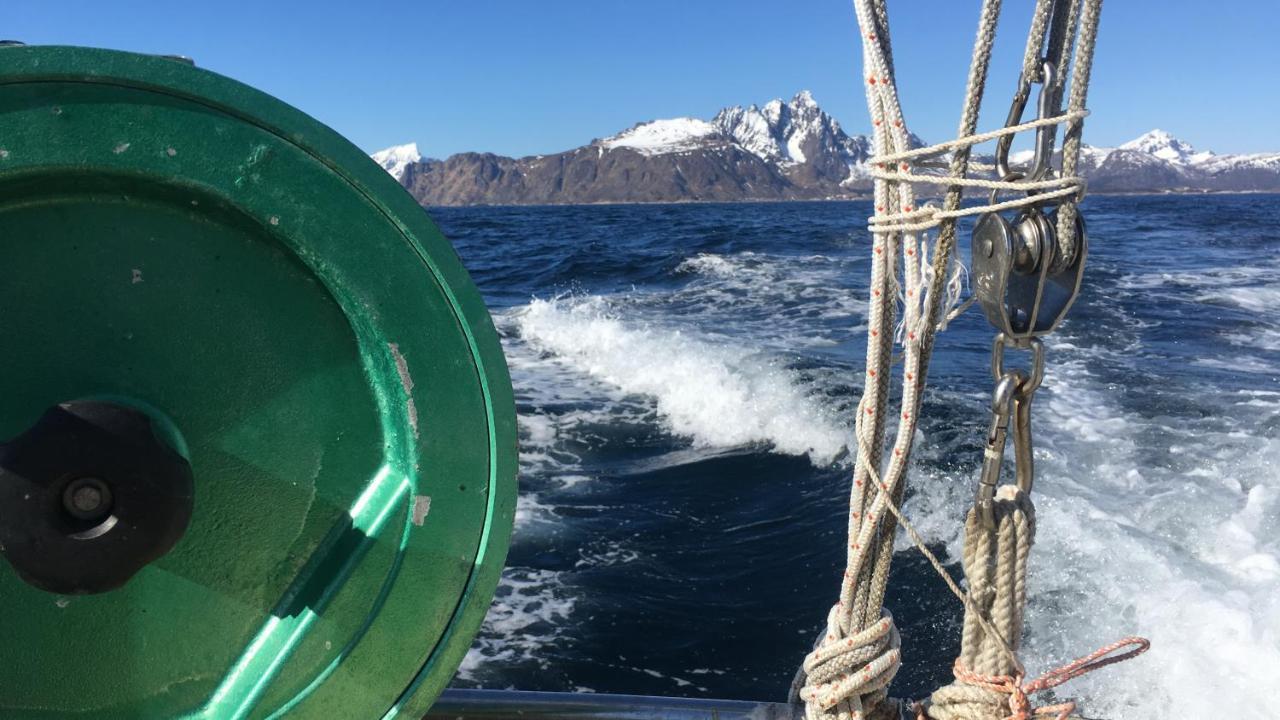 Nordlandshuset "Lottebakken", Ballstad In Lofoten 외부 사진