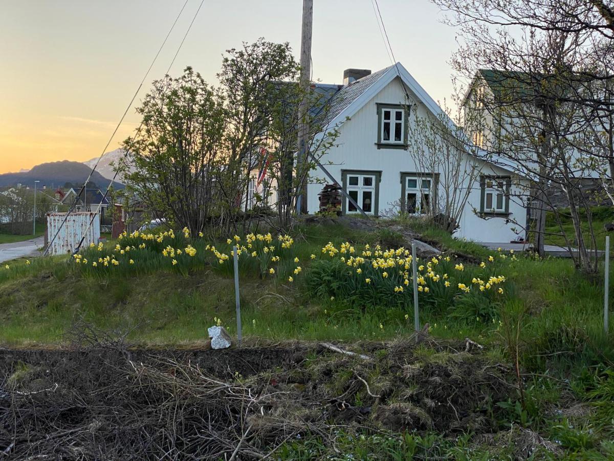 Nordlandshuset "Lottebakken", Ballstad In Lofoten 외부 사진